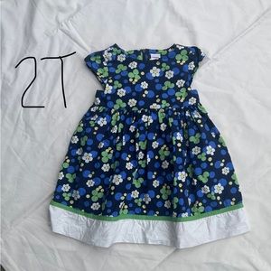 2T Gymboree dress